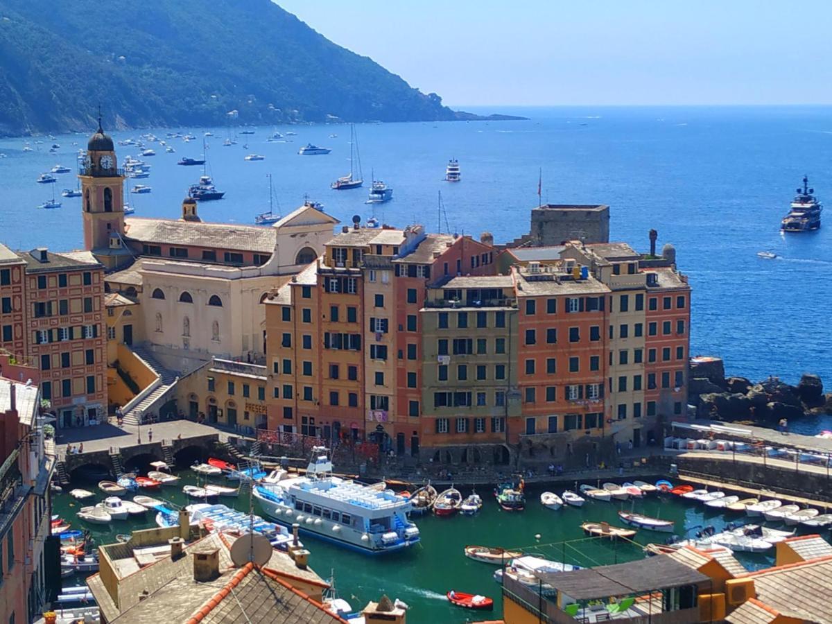 A Due Passi Dal Cielo E Dal Mare - Balcony With Sea View Διαμέρισμα Camogli Εξωτερικό φωτογραφία
